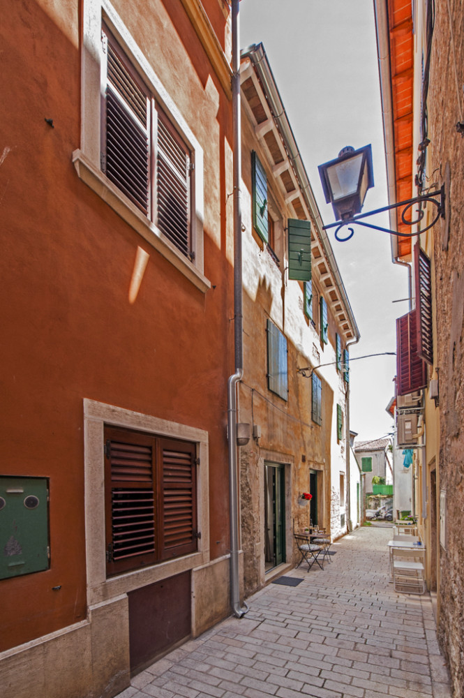 La Fondiaria • Olive